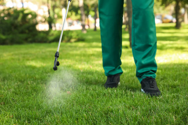 Wasp Removal Services in Lake Brownwood, TX